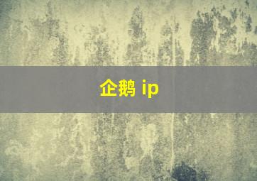 企鹅 ip